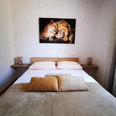 Helena 罗戈兹尼察