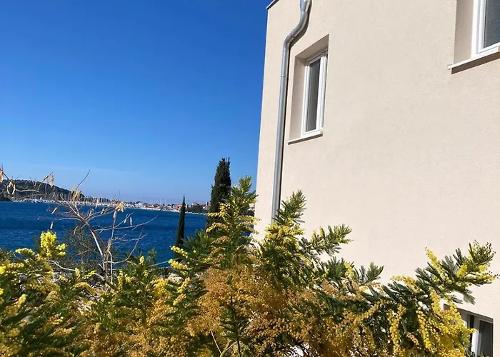 Helena * ロゴズニッツァ