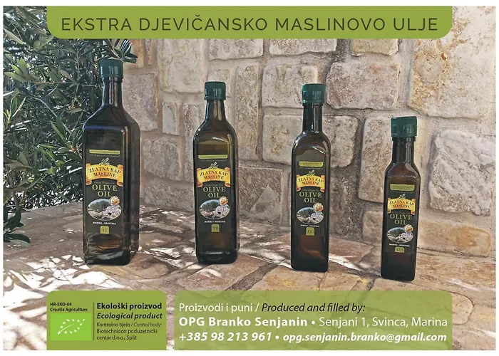 Helena ロゴズニッツァ